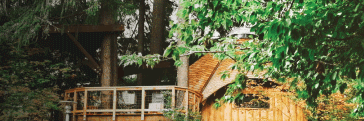 Treehouse conference room.